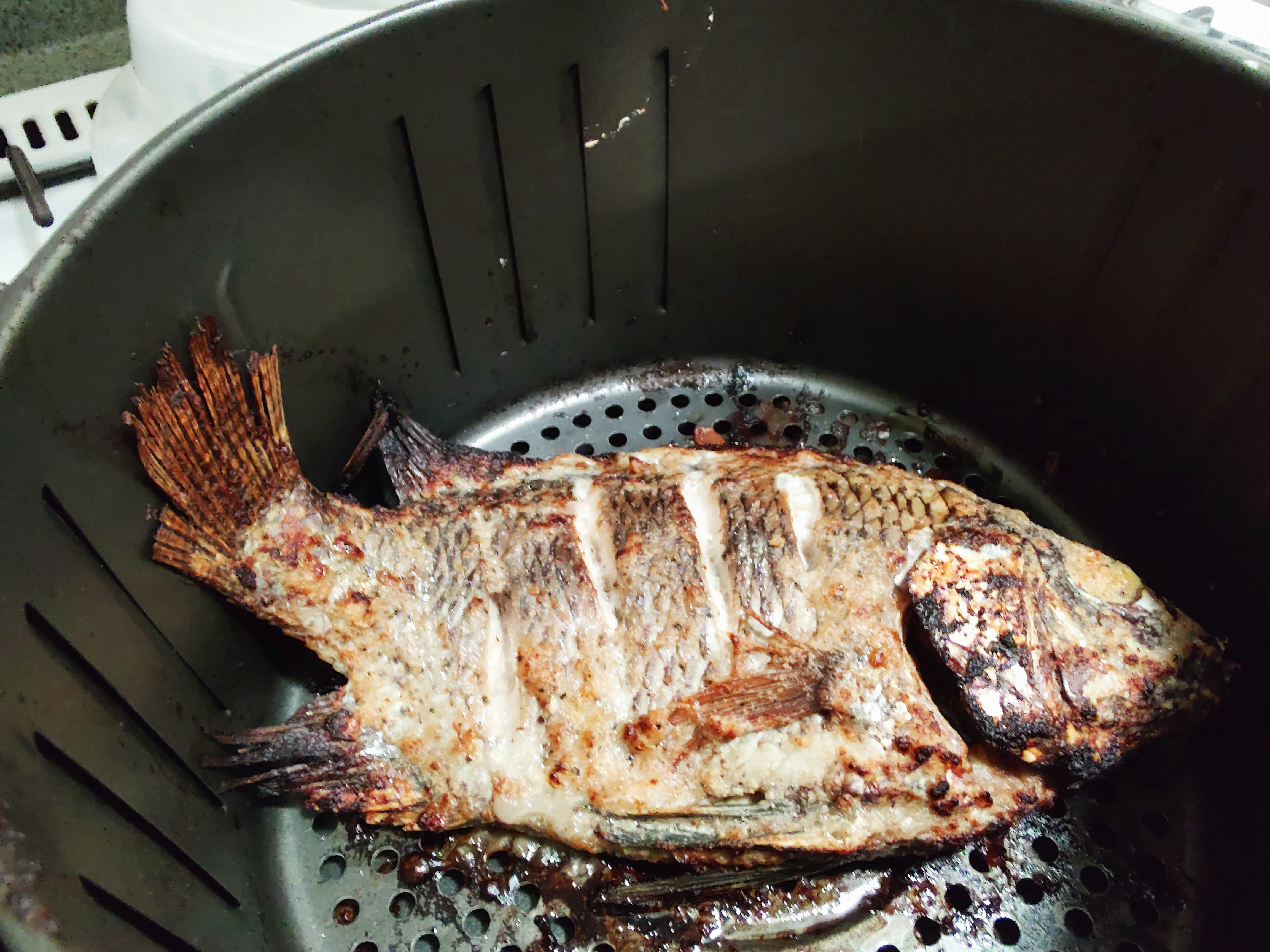 mojarra