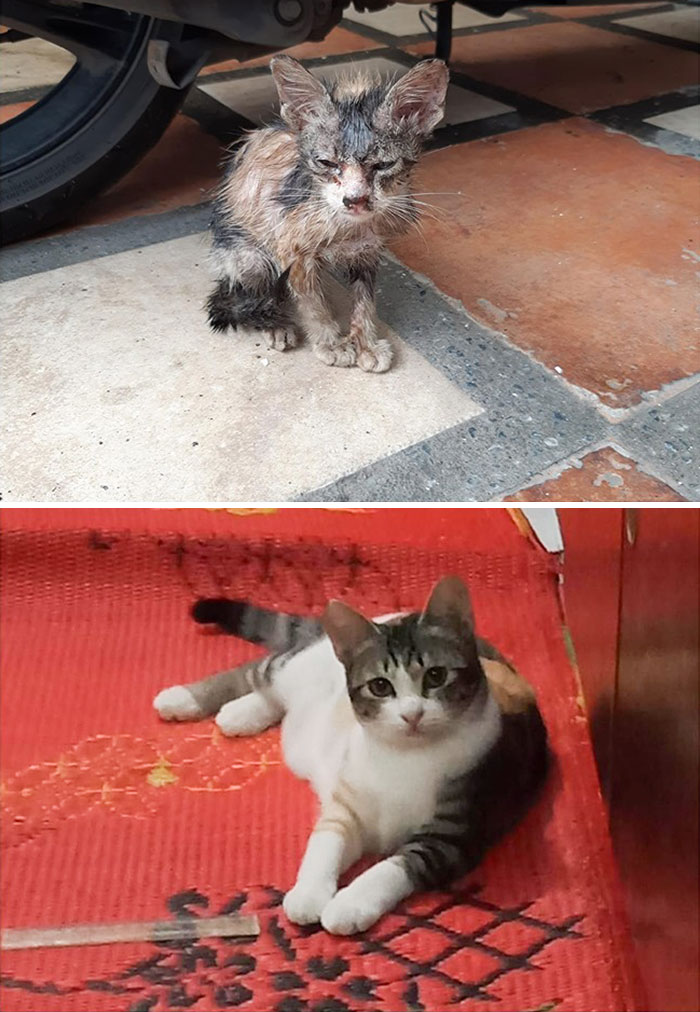 La diferencia de un rescate
